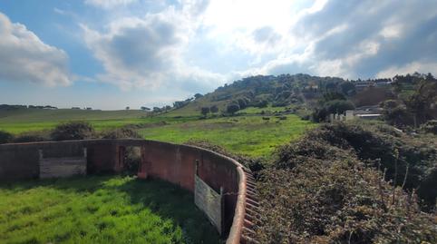 Foto 3 de Finca rústica en venda a Autovía Los Barrios, 8, Los Barrios, Cádiz