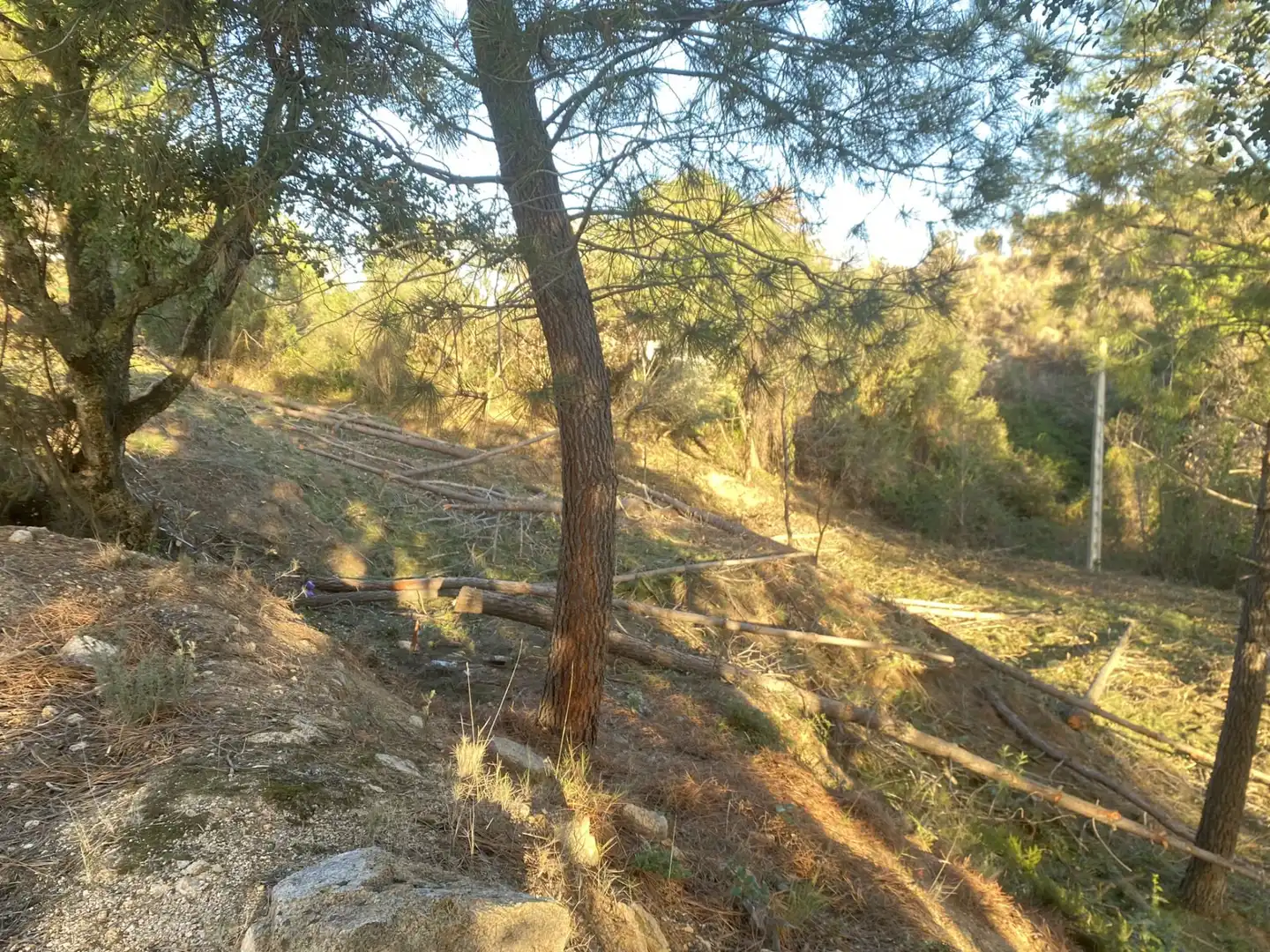 Terreno residencial en venta en Carrer Pi 7, imagen 14
