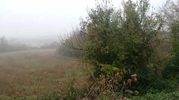 Terreno rustico in vendita a Aigua de la Baells, imagen 9