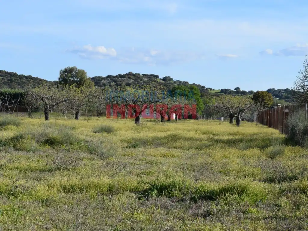 Terreni e lotti in vendita a Saucedilla, imagen 6