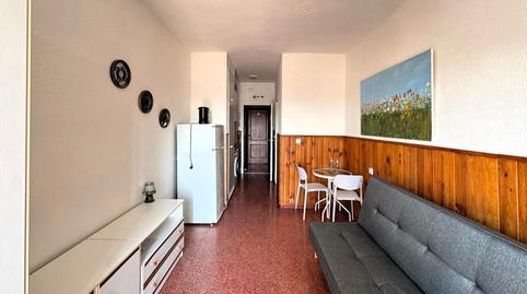 Photo 5 of Study for sale in Calle Loma la, 107, Avenida Habaneras - Curva de Palangre, Torrevieja