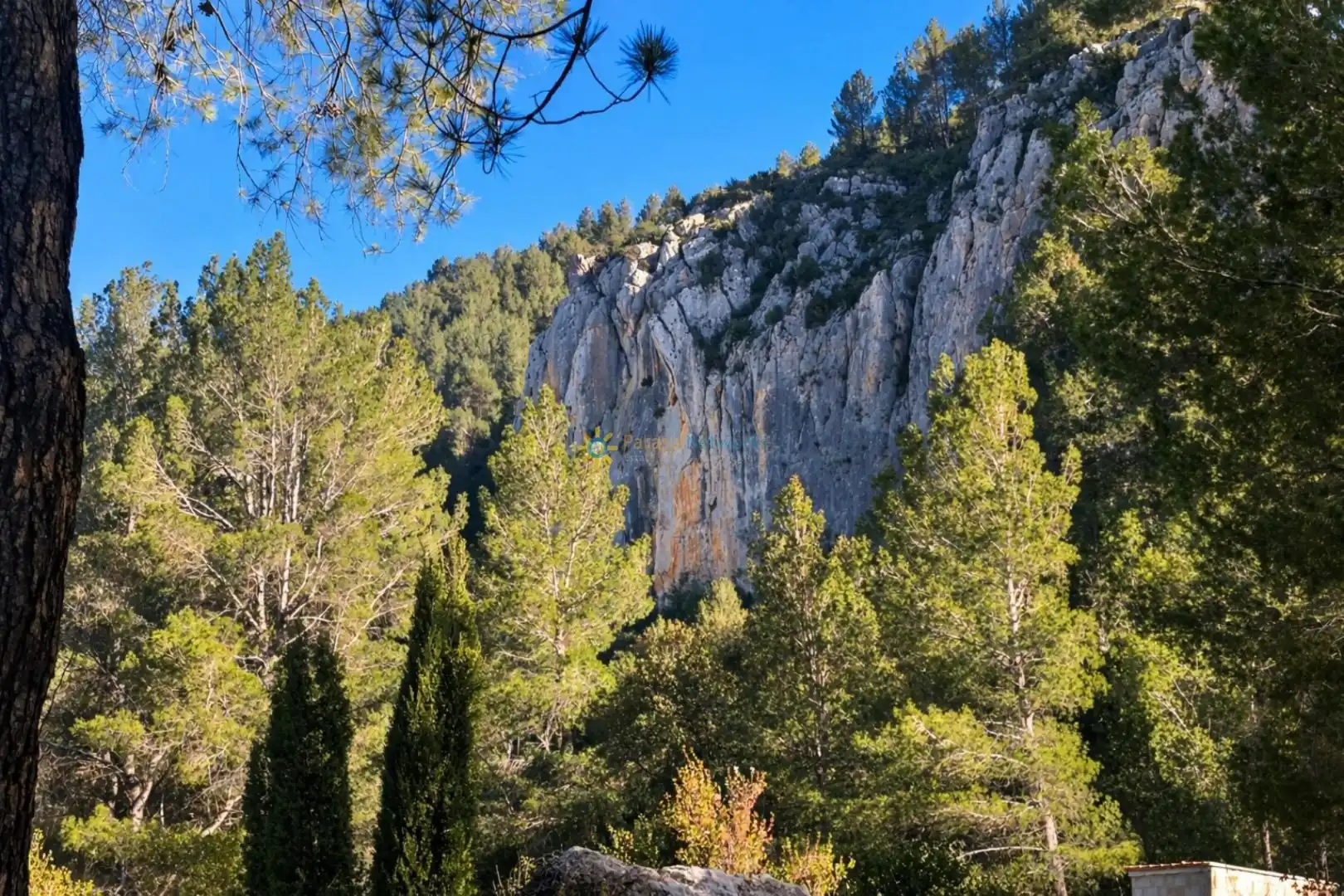 Vista exterior de Finca rústica en venda en Muro de Alcoy amb Jardí privat, Terrassa i Traster