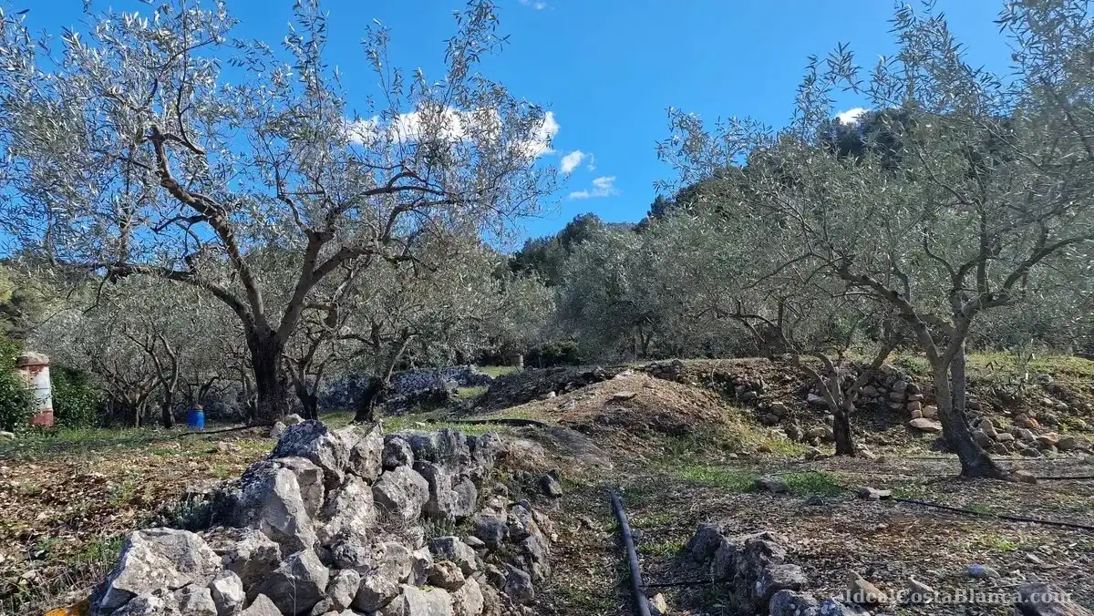Maison rustique à vendre à Confrides, imagen 31