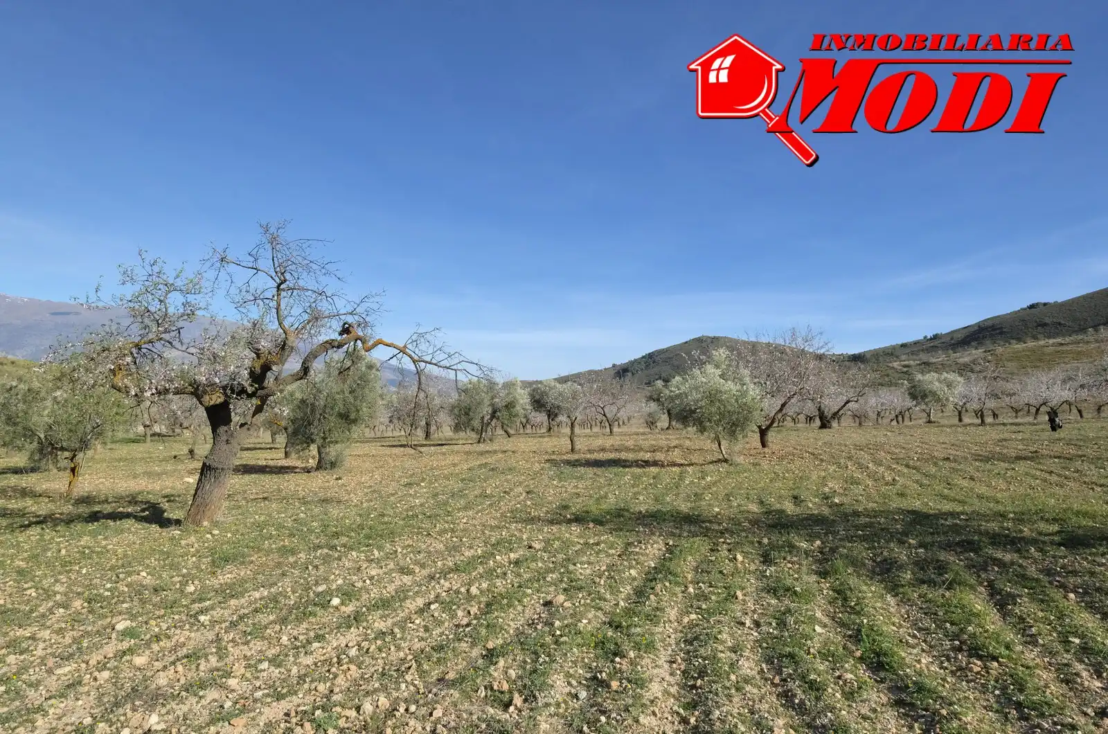 Terreni e lotti in vendita a El Valle, imagen 25