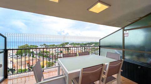 Photo 3 of Attic to rent in Port d'Alcúdia - Platja d'Alcúdia, Illes Balears