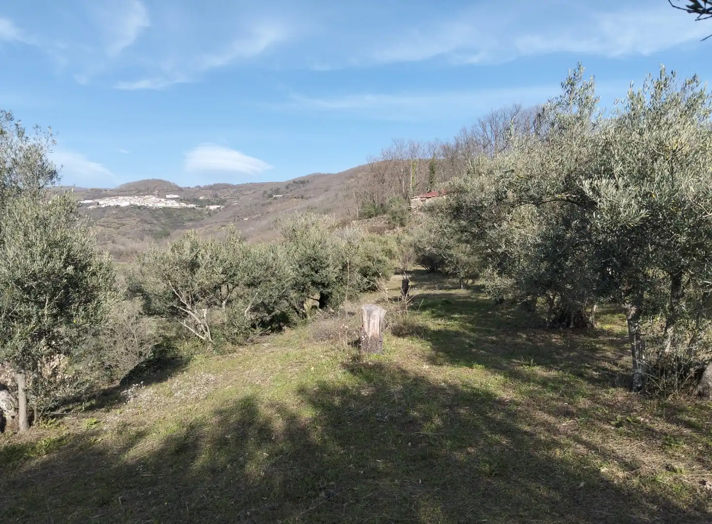 Terreno en venta en Barrado