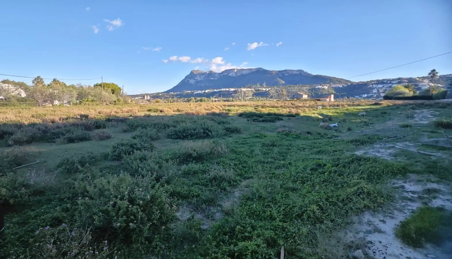 Terreny residencial en venda a La Xara - La Sella, imagen 11