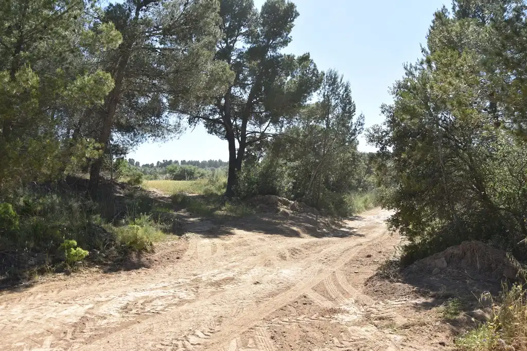 Terreni e lotti in vendita a Cretas, imagen 5