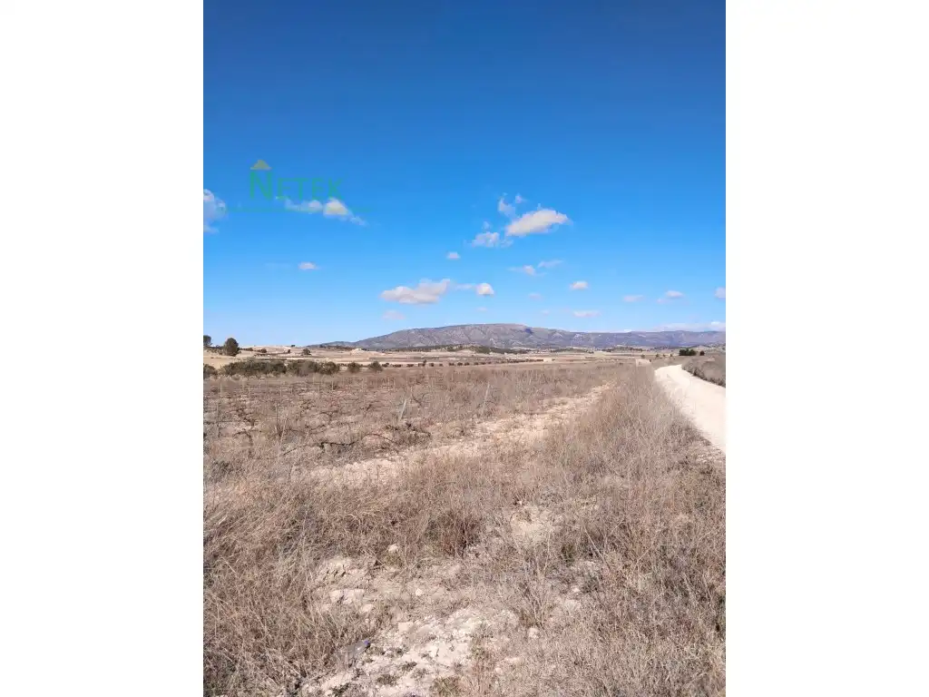 Terreno residencial en venta en Poligono 11 Paraje 135 Salobrar, imagen 4