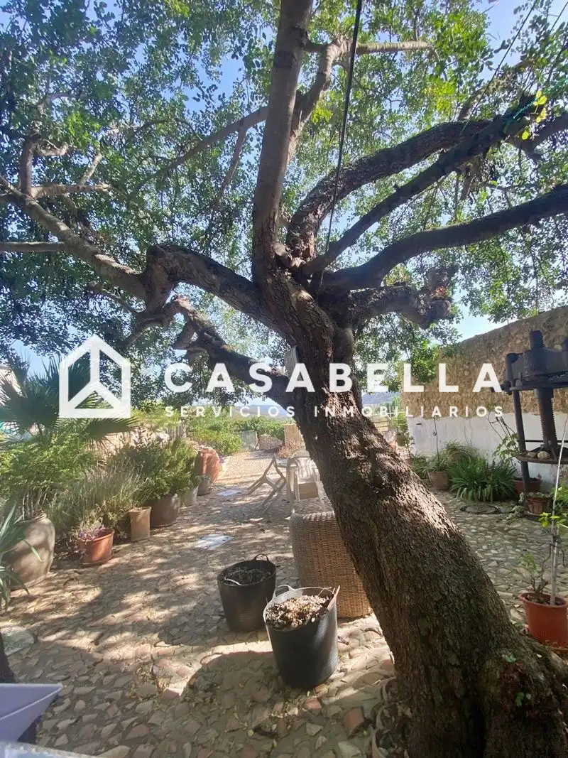 Adossat amb jardí en venda a Major, imagen 56