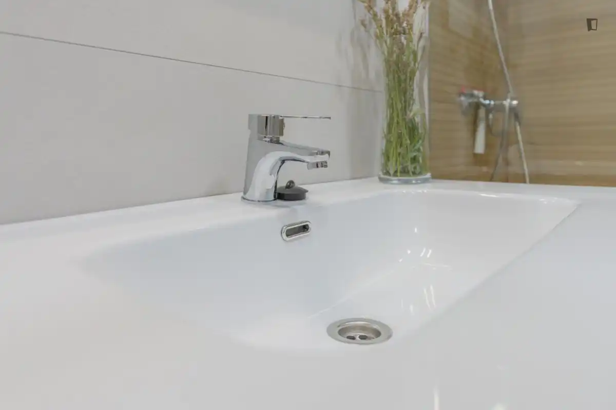Baño de Apartamento para compartir en Universidad