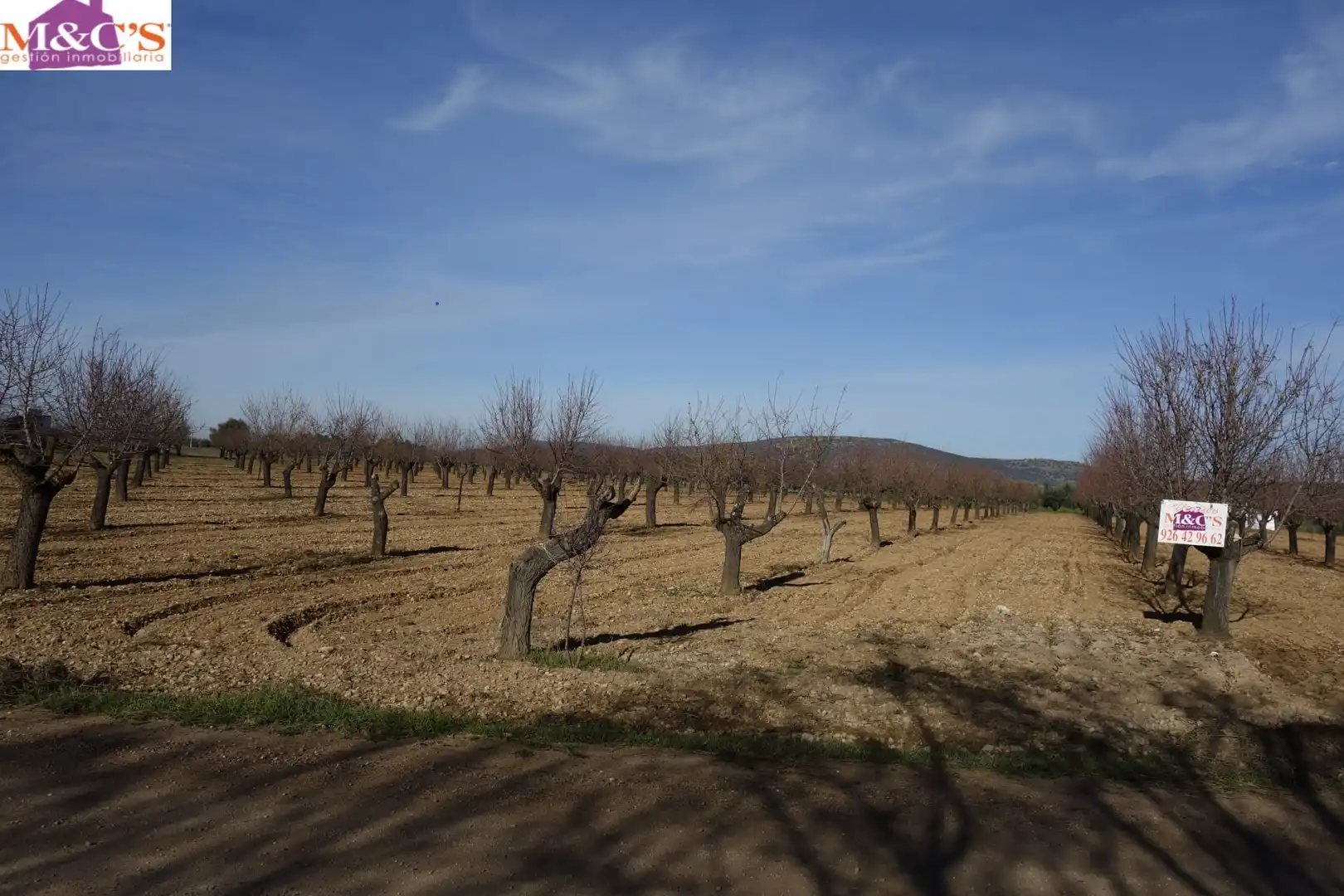 Terreno rustico in vendita a Argamasilla de Calatrava