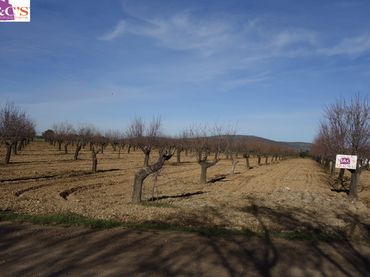 Terreno rustico in vendita a Argamasilla de Calatrava