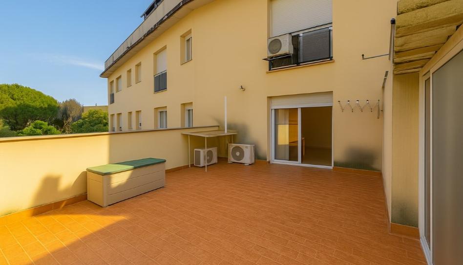 Photo 1 of Flat for sale in N/a, Castellví de la Marca, Barcelona