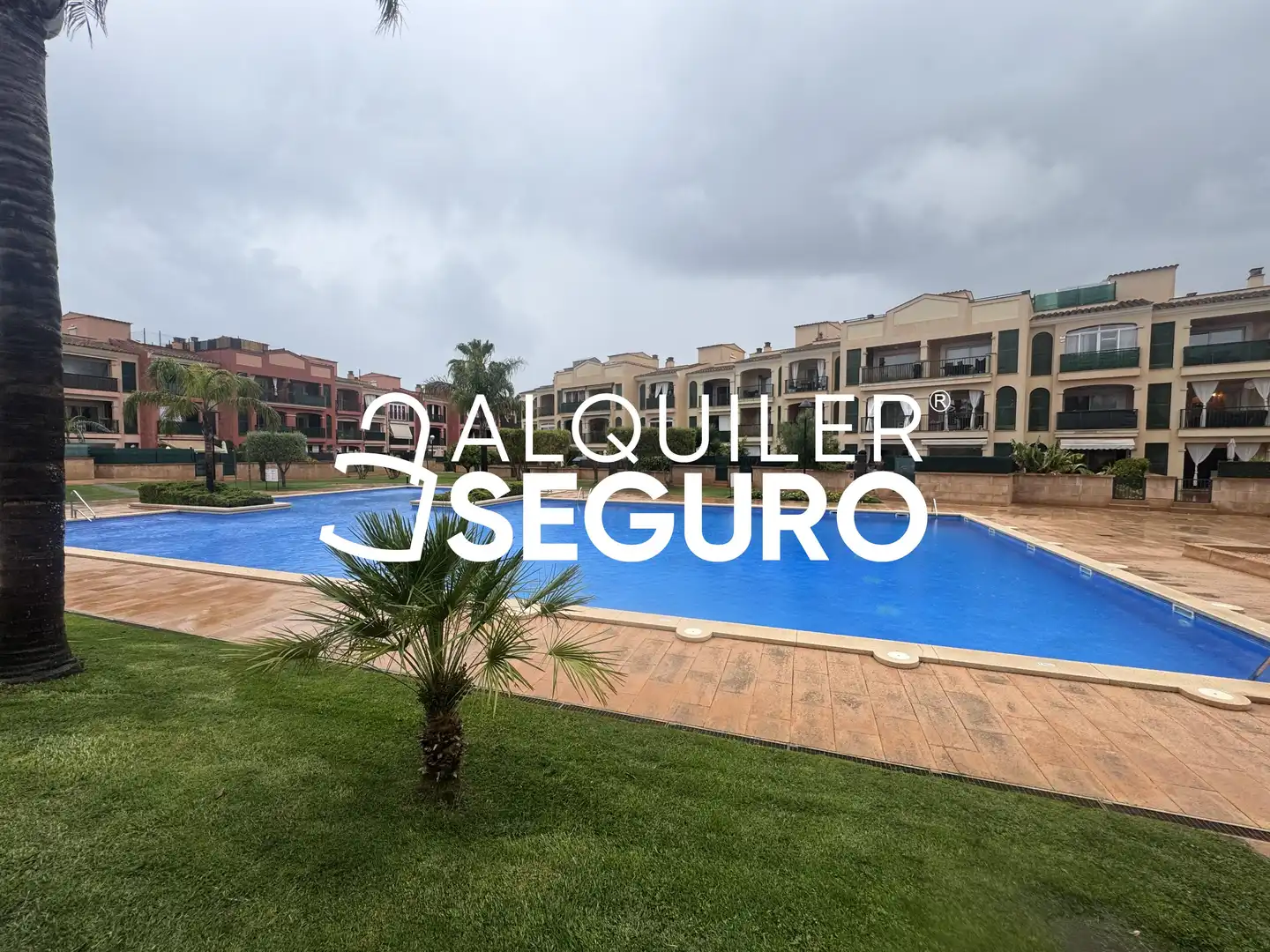 Swimming pool of Flat for rent in Llucmajor