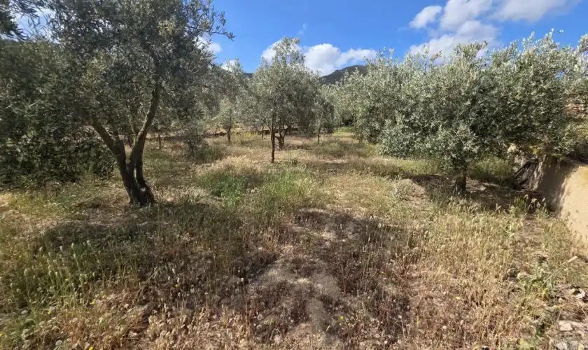 Casa o chalet en venta en Sorbas con Aire acondicionado, Jardín privado y Terraza