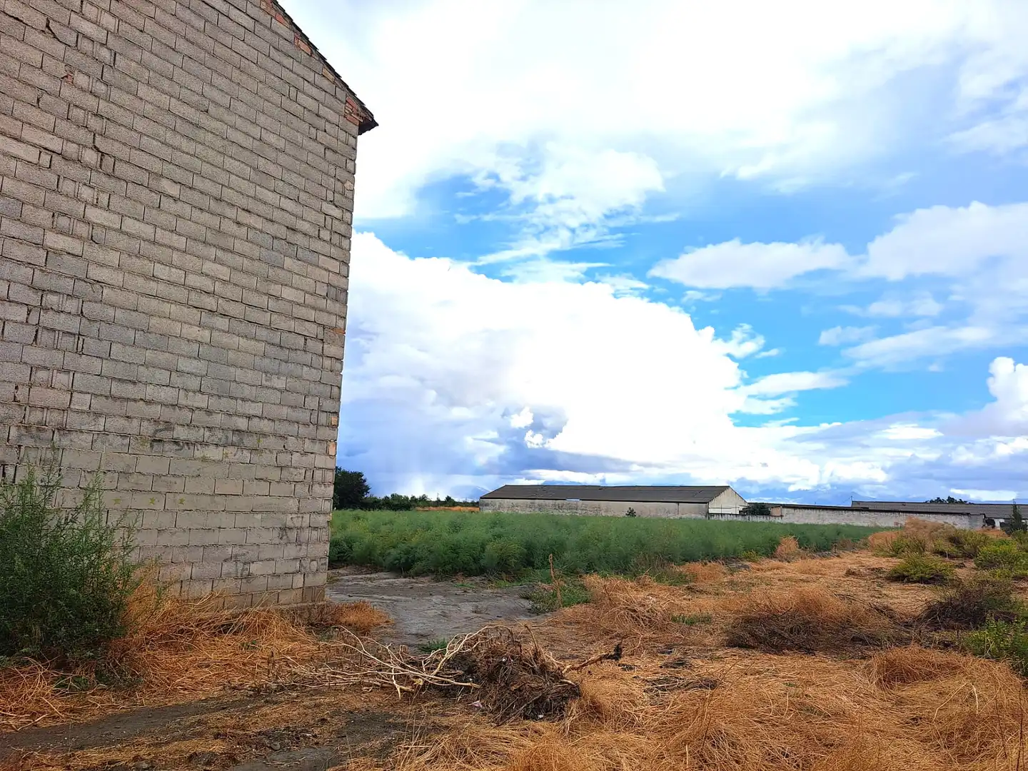 Nau industrial en venda en Fuente Vaqueros
