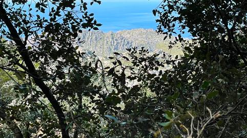 Foto 4 de Finca rústica en venda a Escorca, Illes Balears