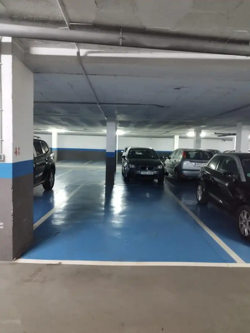Mini appartamento con terrazza in affitto a Avenida Avenida Juan Carlos I, imagen 45