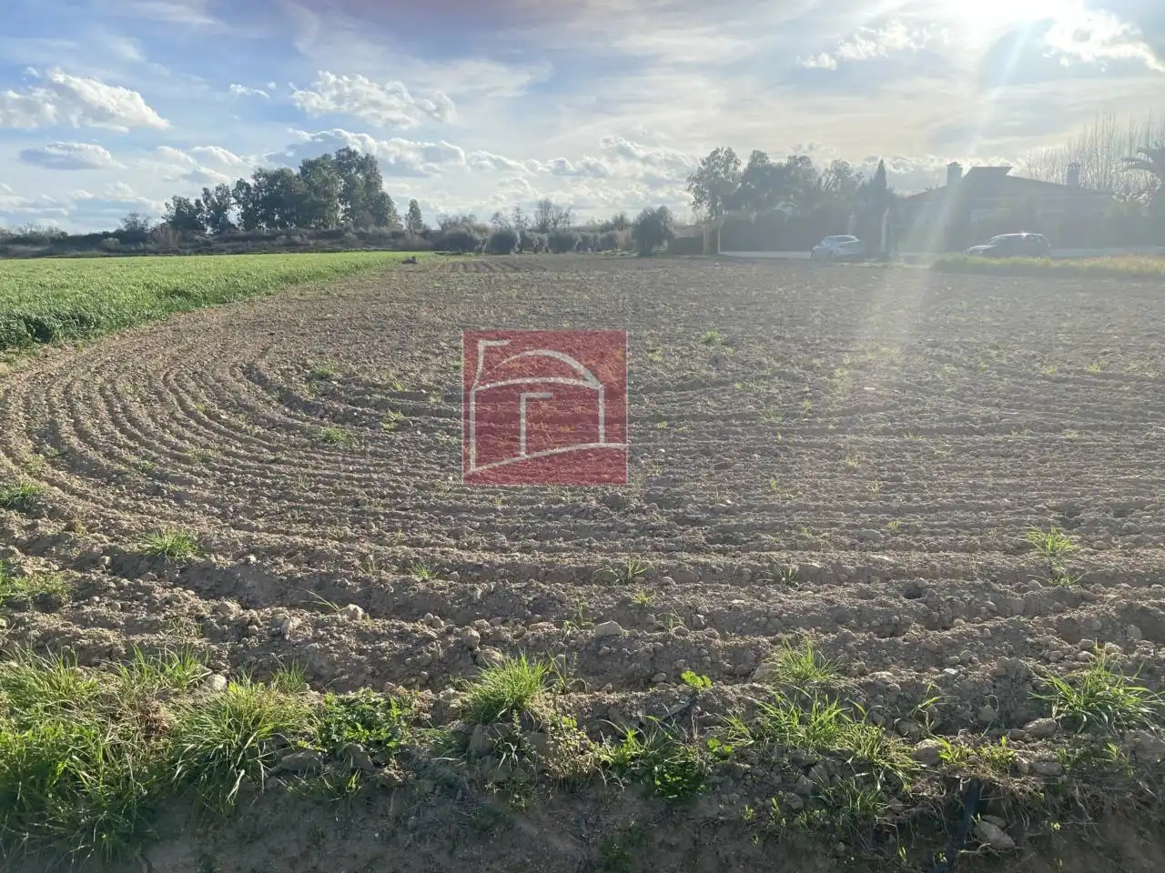 Terreni e lotti in vendita a Villanueva de la Serena, imagen 3