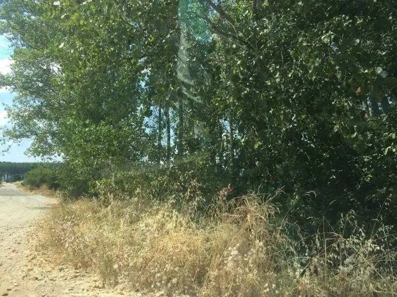 Casa rústica en venda a Camponaraya, imagen 2