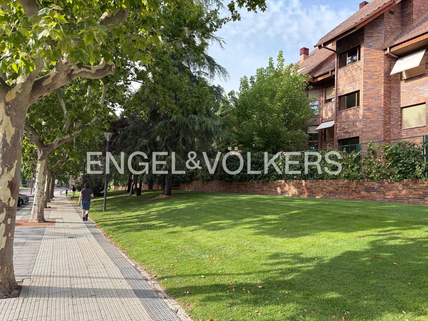 Flat with terrace to rent in Zona Carretera del Plantío, imagen 63