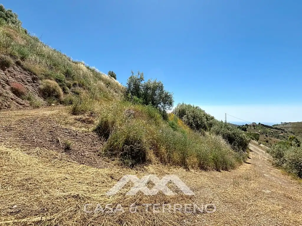 Land for sale in Canillas de Albaida