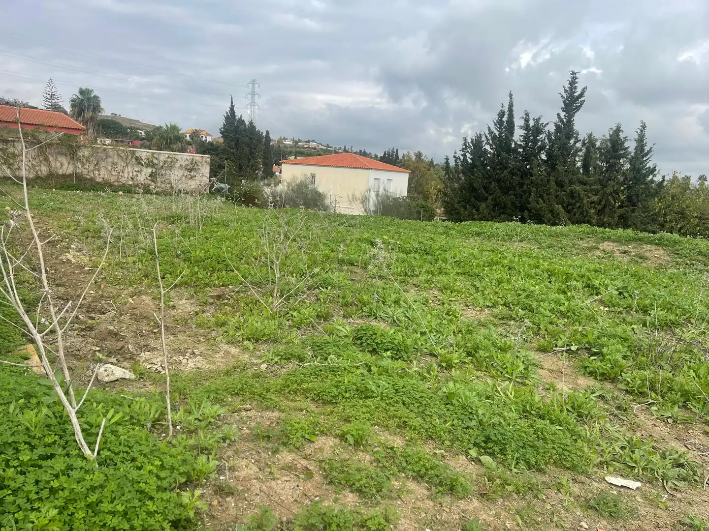 Terreno rustico in vendita a El Romeral - Peñón de Zapata, imagen 4