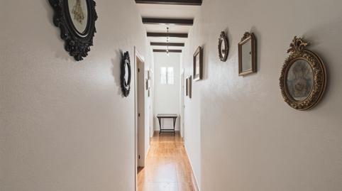 Foto 5 de Finca rústica en venda a Villamartín, Cádiz