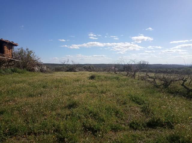 Terreno en Venta en Jarandilla de la Vera