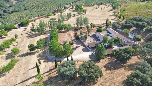 Terreno residencial en Venta en Setenil de las Bodegas