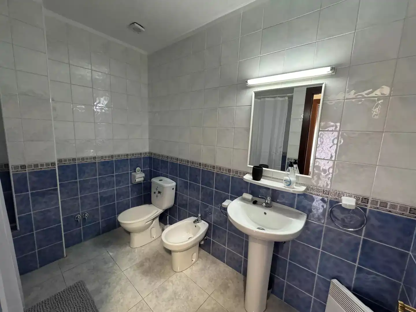 Bany de Casa o xalet de lloguer en Empuriabrava amb Aire condicionat, Calefacció i Moblat