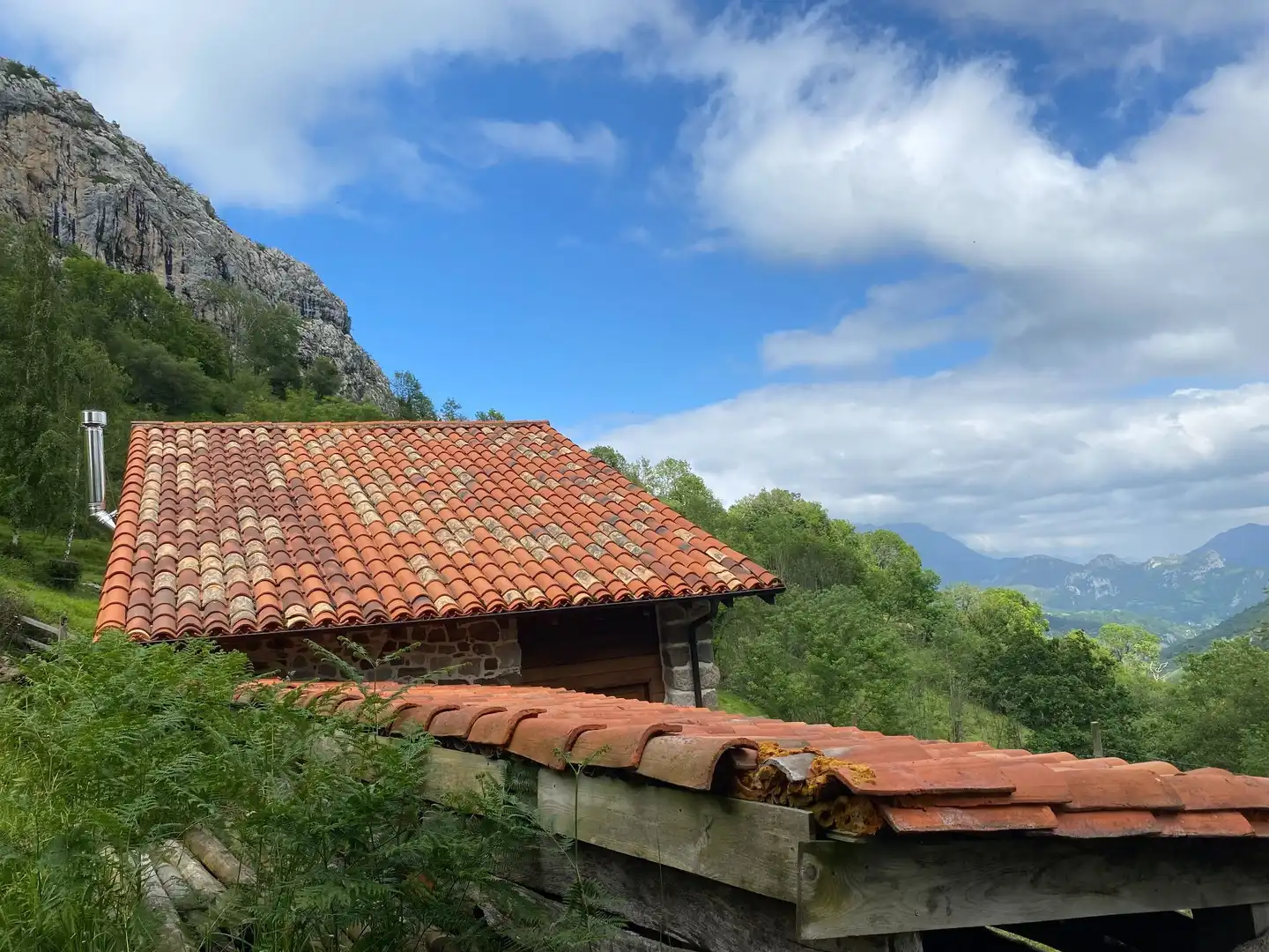 Land for sale in La Molina, Cabrales