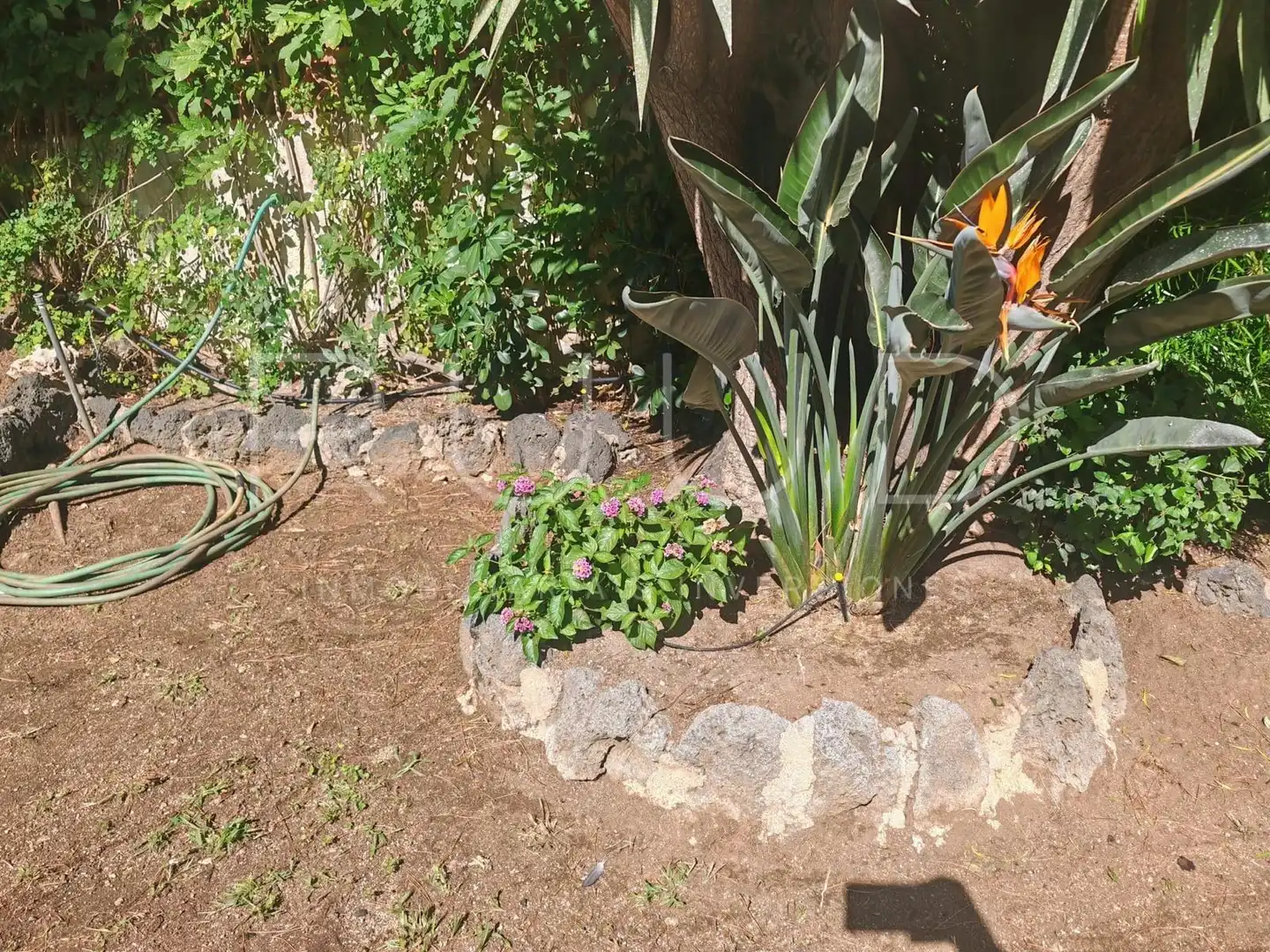 Maison avec jardin à vendre à Carrer CREUETA, imagen 37