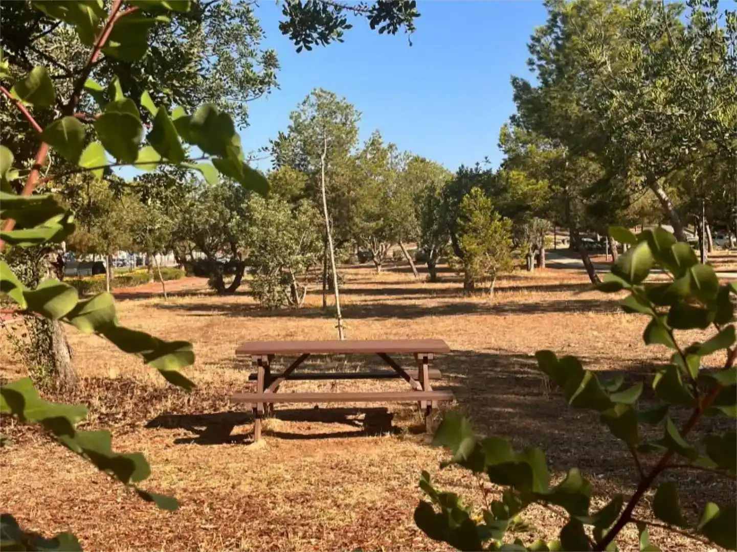 Jardí de Oficina de lloguer en Paterna