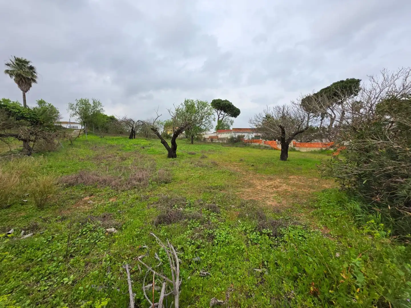 Country homes for sale in Chiclana de la Frontera  with Private garden, Storage room and Swimming Pool