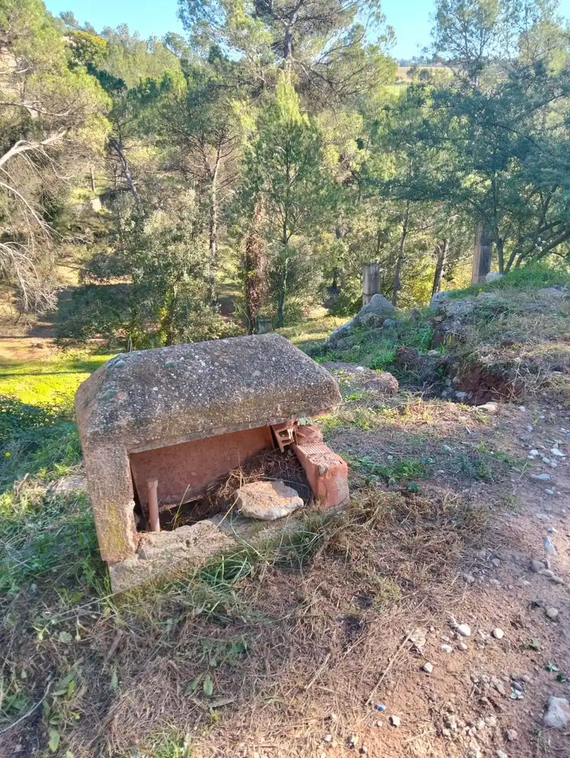 Terrenys i solars en venda a Castellnou de Bages, imagen 3