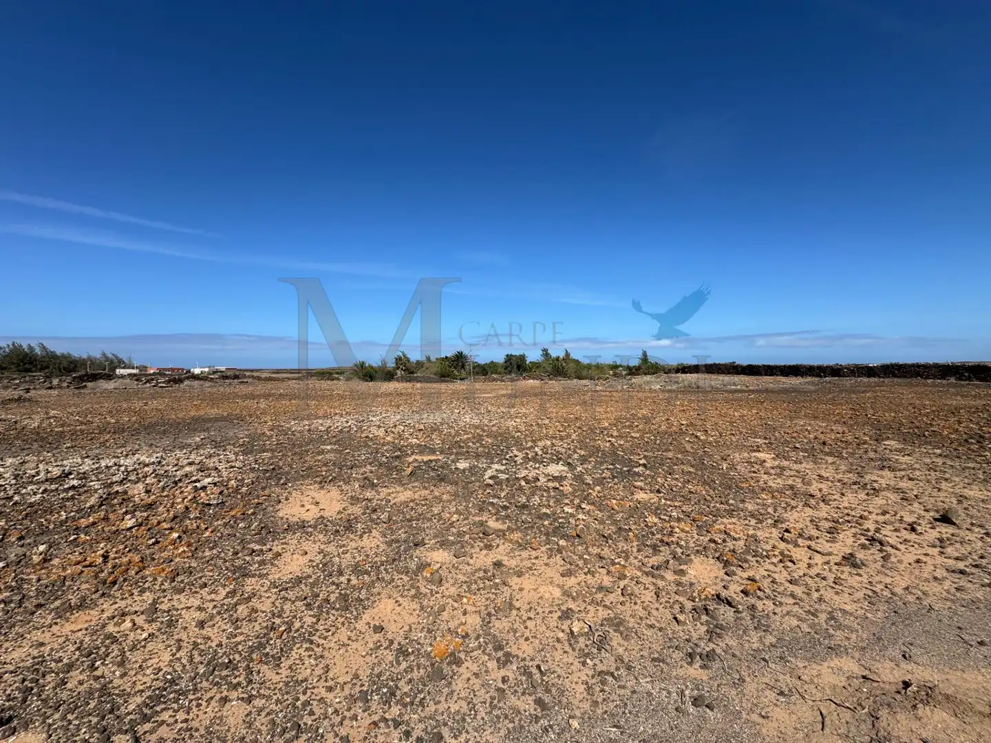 Land for sale in La Oliva