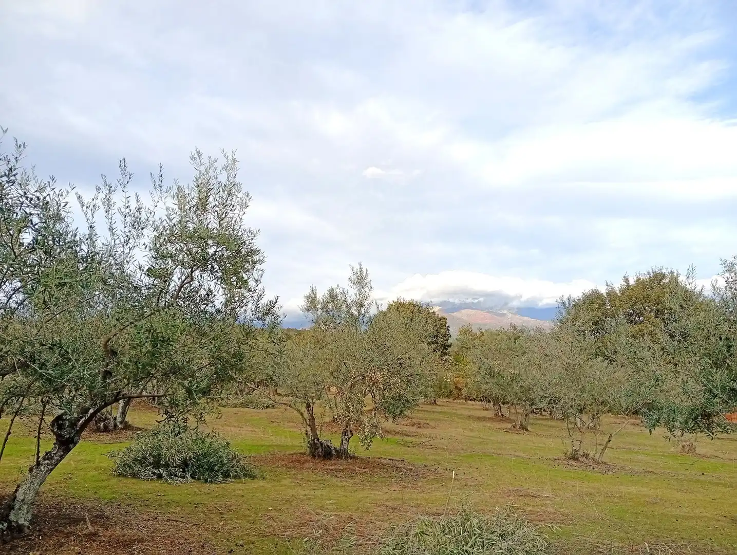Terreni e lotti in vendita a Villanueva de la Vera, imagen 23