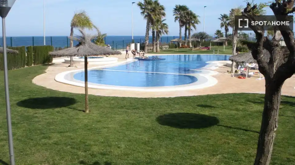 Swimming pool of Apartments for share in Pilar de la Horadada  with Air Conditioner, Terrace and Furnished