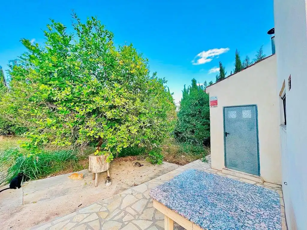 Casa amb jardí en venda a Palmeral V Bene, 22, imagen 54