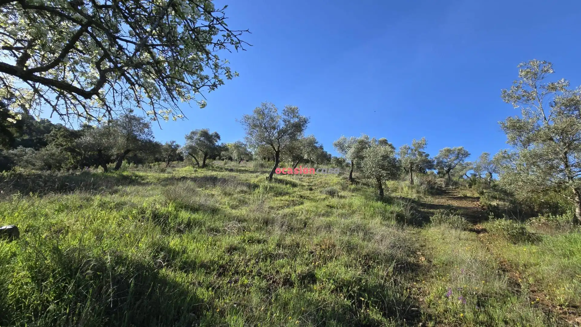 Casa o chalet en venta en Pozoblanco con Jardín privado, Terraza y Trastero