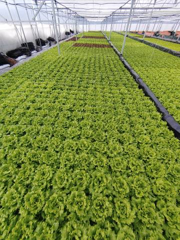 Terreno en Venta en Akarlanda Errepidea en Erandio