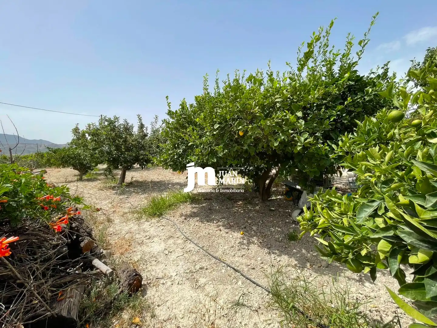 Rustikales Grundstück zum Verkauf in Paraje del Acho, imagen 20