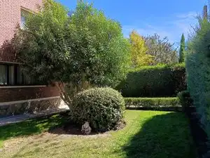 Chalet con piscina en venta en El Bosque, imagen 34