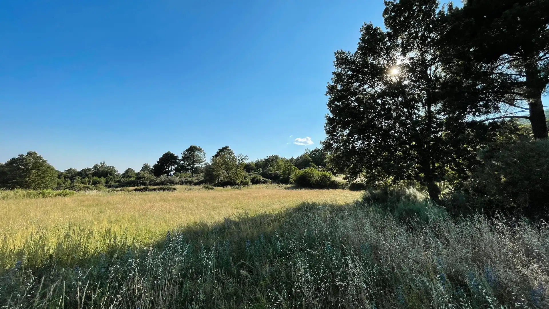 Grundstücke zum Verkauf in El Arenal 