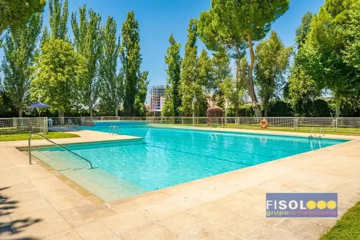 Piscina de Piso en venta en  Madrid Capital con Aire acondicionado, Calefacción y Parquet
