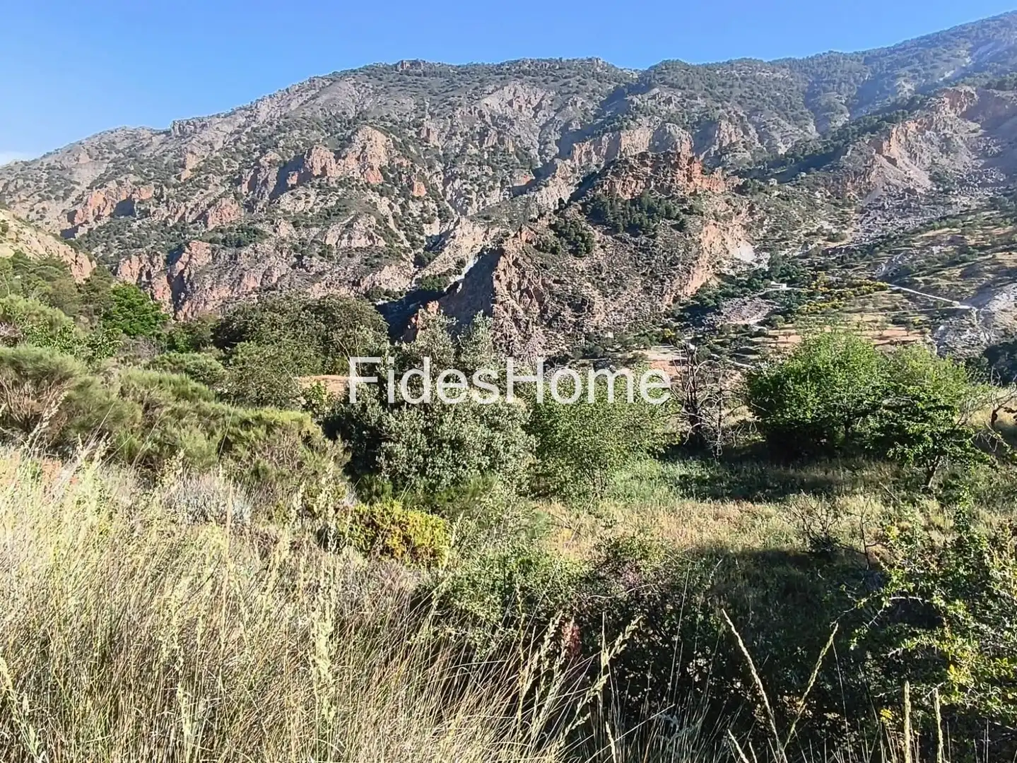 Rural land for sale in XFPP+9QX Nigüelas 0, imagen 13