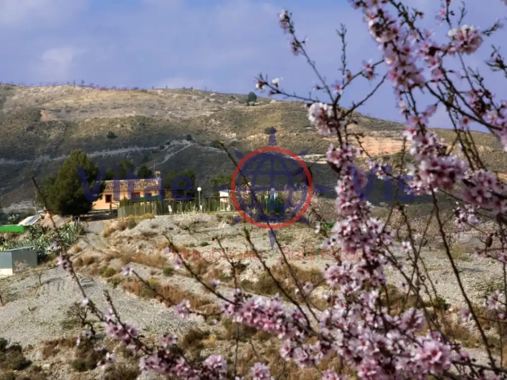 Casa amb piscina en venda a Poligono 202 Paraje 3399 La Solana, imagen 25