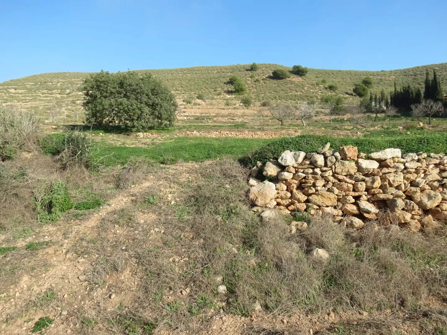 Terreni e lotti in vendita a Pedanías Oeste, imagen 9